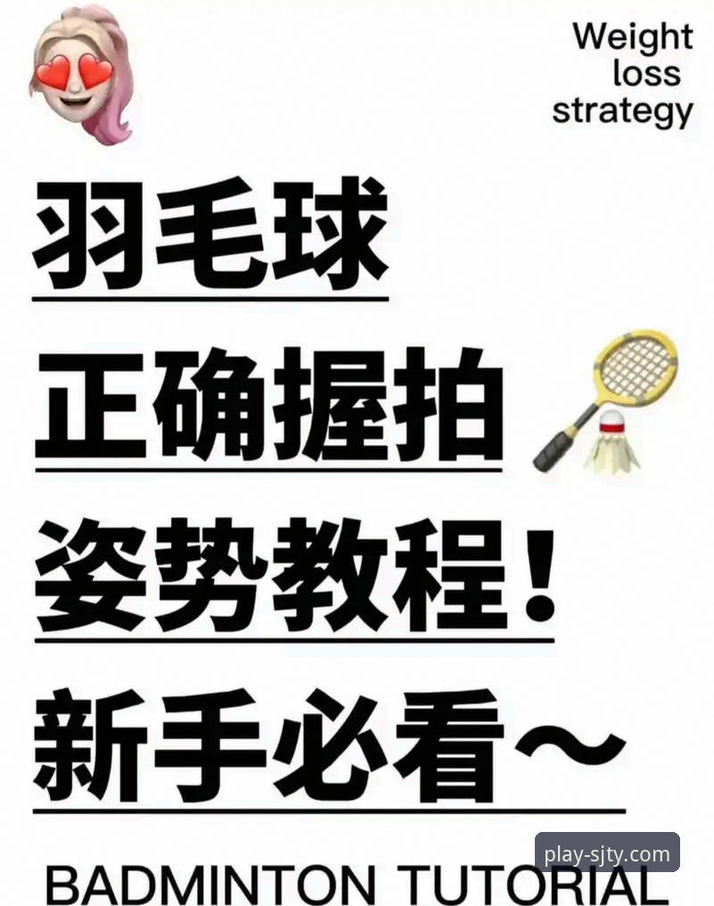 四季体育官方网址哪个好？新手必看的完整说明与使用指南