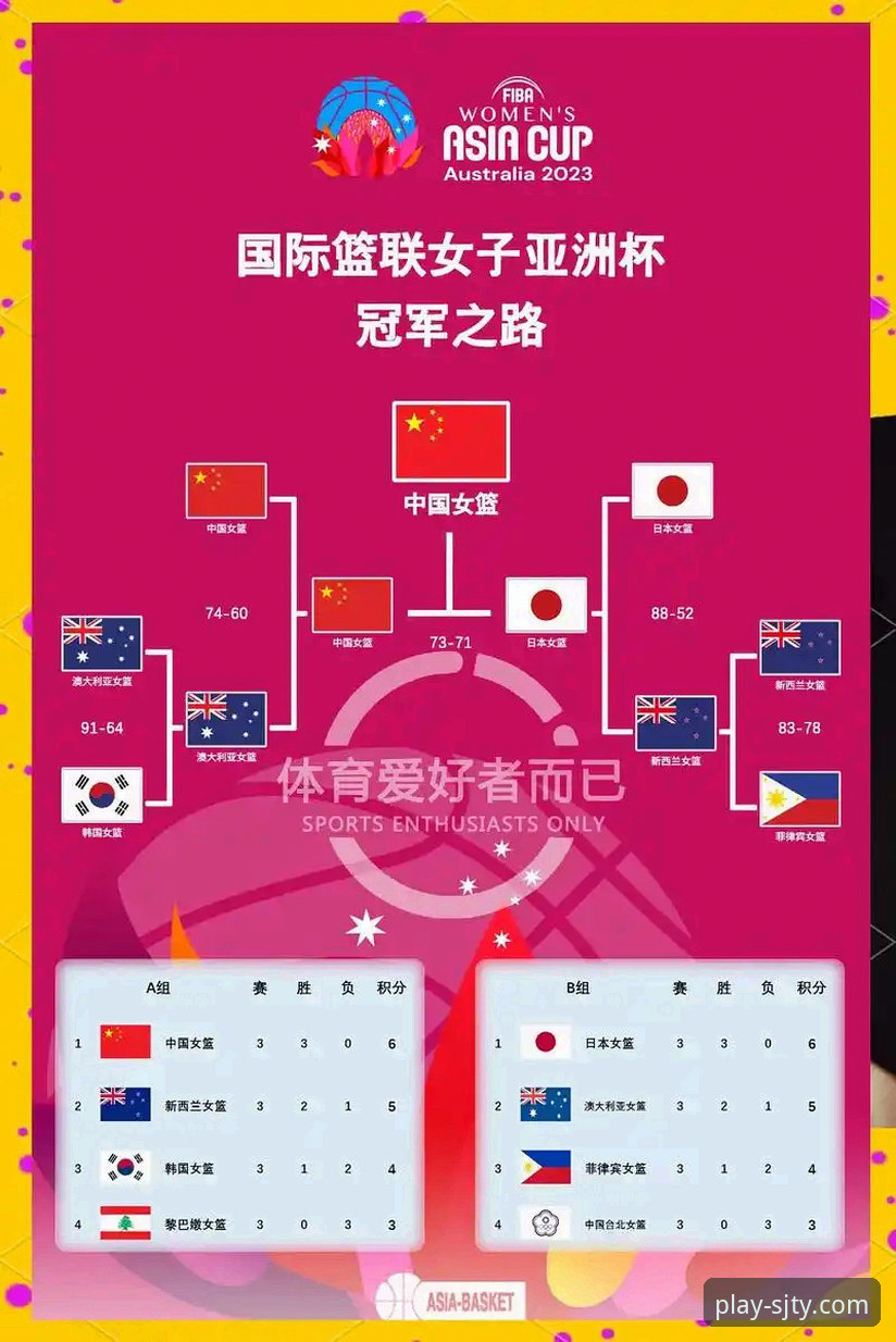 尤伯杯半决赛观赛报告：中国女队晋级决赛使用教程