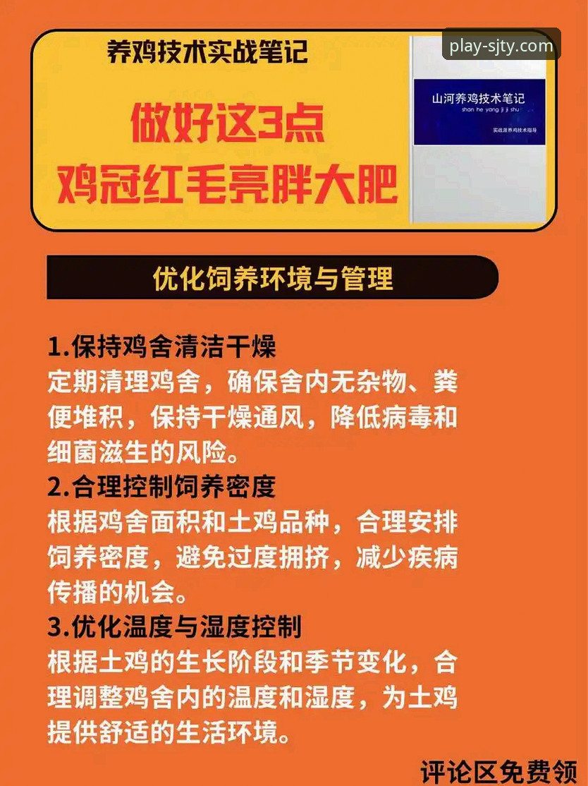 四季体育纯净版 四季体育纯净版到底好在哪?一个实战派用户的使用全攻略